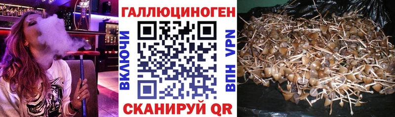 даркнет клад  Адыгейск  Галлюциногенные грибы мухоморы 